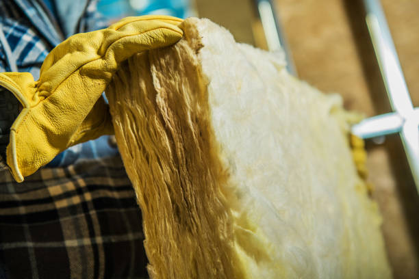 Best Geographic-Specific Insulation Services in Cibolo, TX