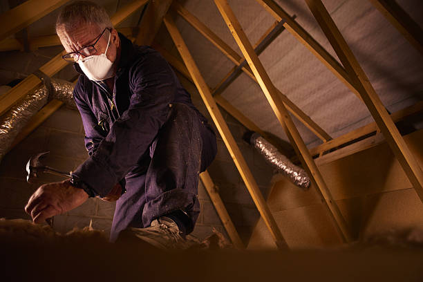 Best Insulation Maintenance and Repair in Cibolo, TX
