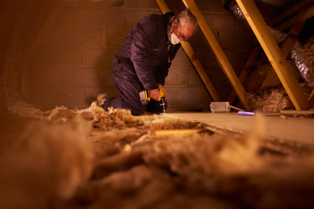 Types of Insulation We Offer in Cibolo, TX